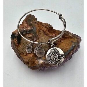 Alex and Ani Silver Tone Aquarius Charm Bangle Bracelet Designer Jewelry